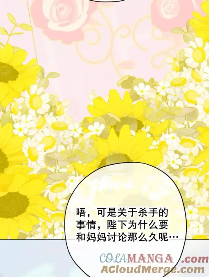 《契约皇后的女儿》31.皇太子的领地图13