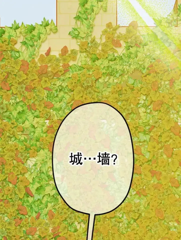 《契约皇后的女儿》32.山莓田图14