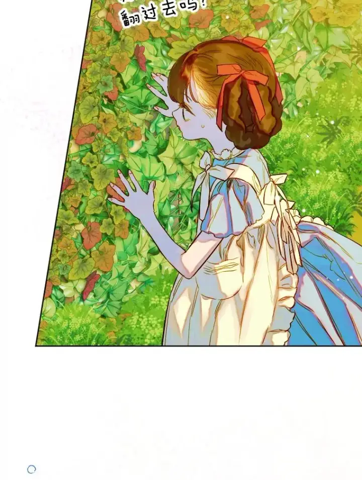 《契约皇后的女儿》32.山莓田图22