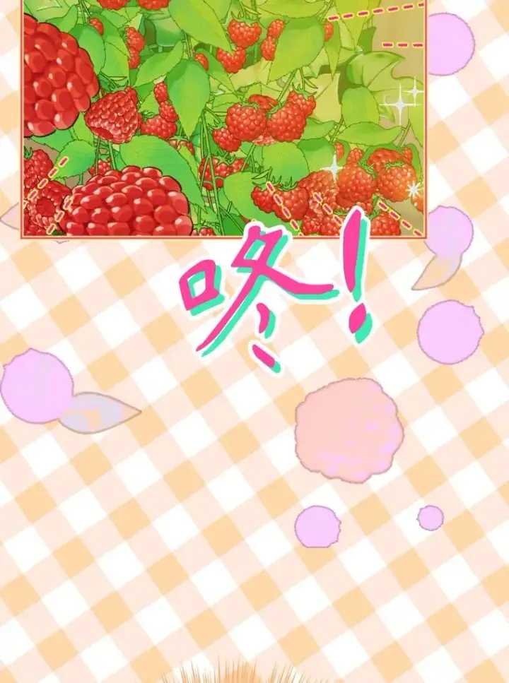 《契约皇后的女儿》32.山莓田图46
