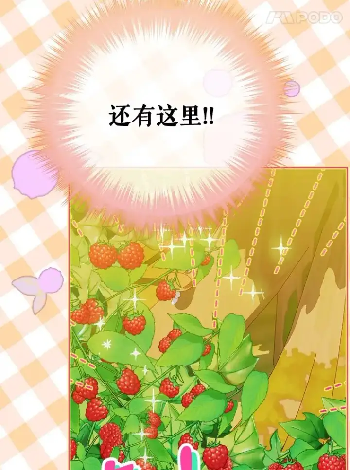 《契约皇后的女儿》32.山莓田图47
