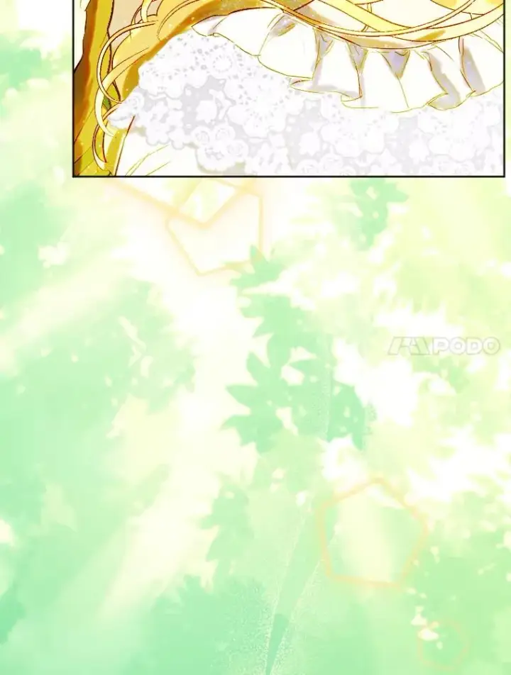 《契约皇后的女儿》32.山莓田图72