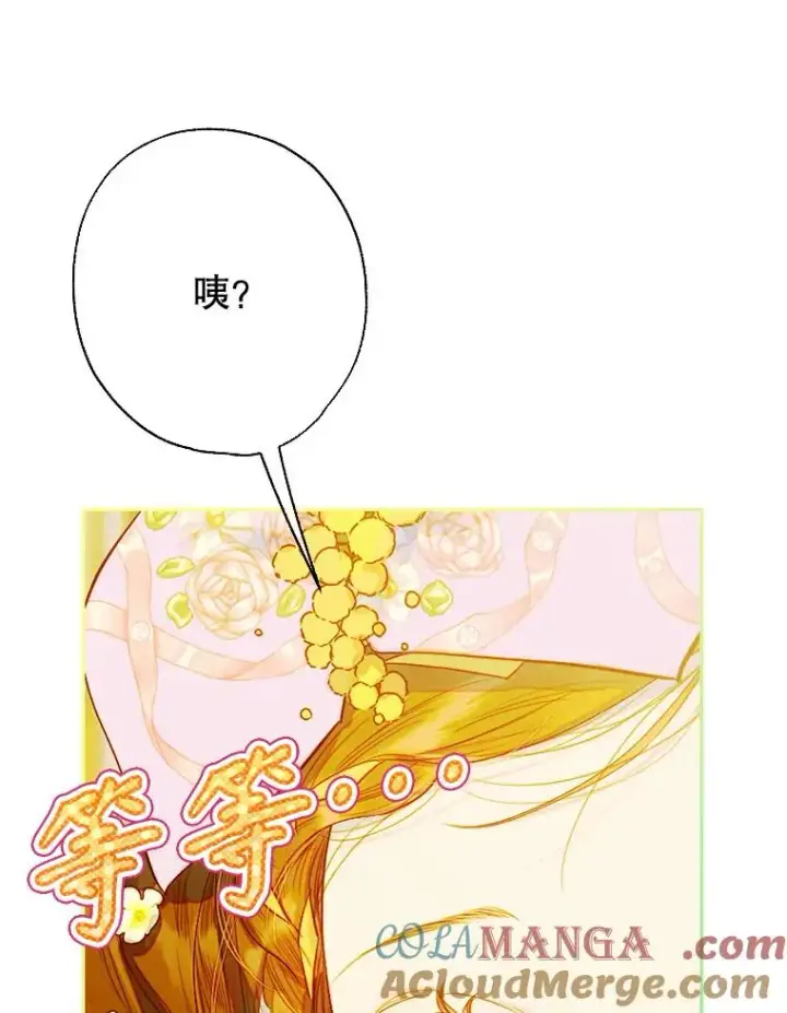 《契约皇后的女儿》34.美丽到耀眼图25
