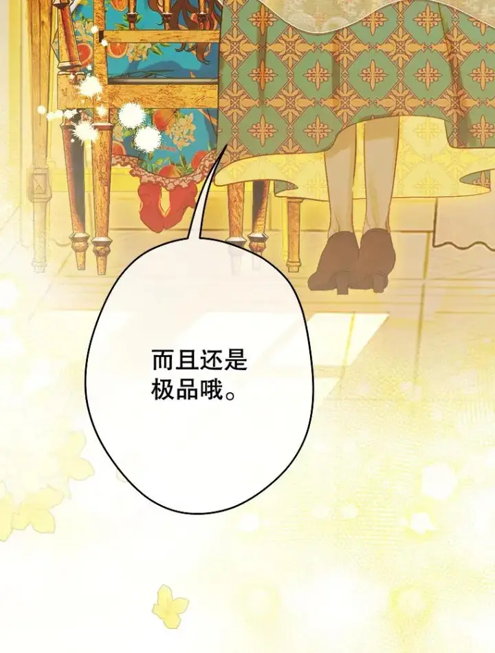 《契约皇后的女儿》36.魔法书图114