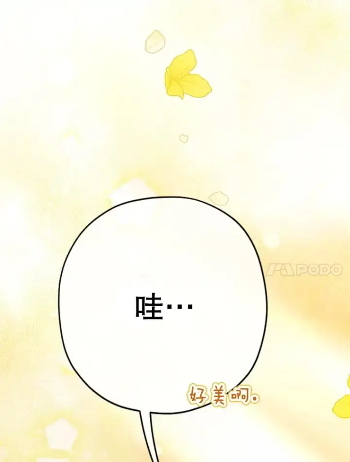 《契约皇后的女儿》36.魔法书图115