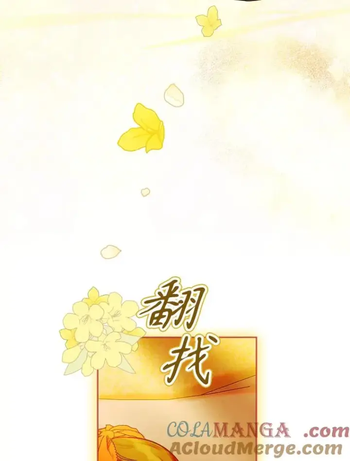 《契约皇后的女儿》36.魔法书图121