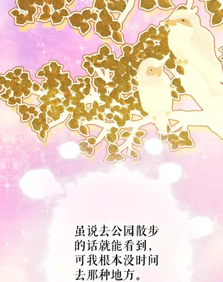 《契约皇后的女儿》37.挑选护卫图72