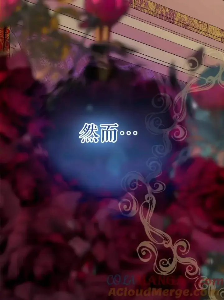 《契约皇后的女儿》43.毕约尔德的独白图41
