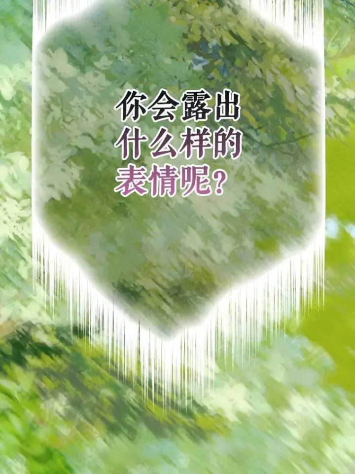 《契约皇后的女儿》43.毕约尔德的独白图72