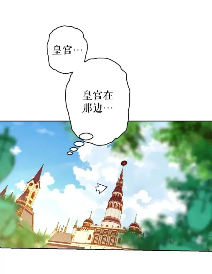 《契约皇后的女儿》47.她是魔法师？图103