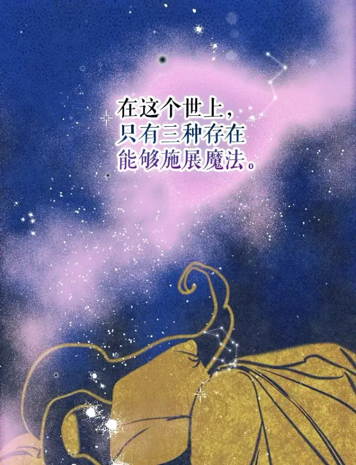 《契约皇后的女儿》47.她是魔法师？图64