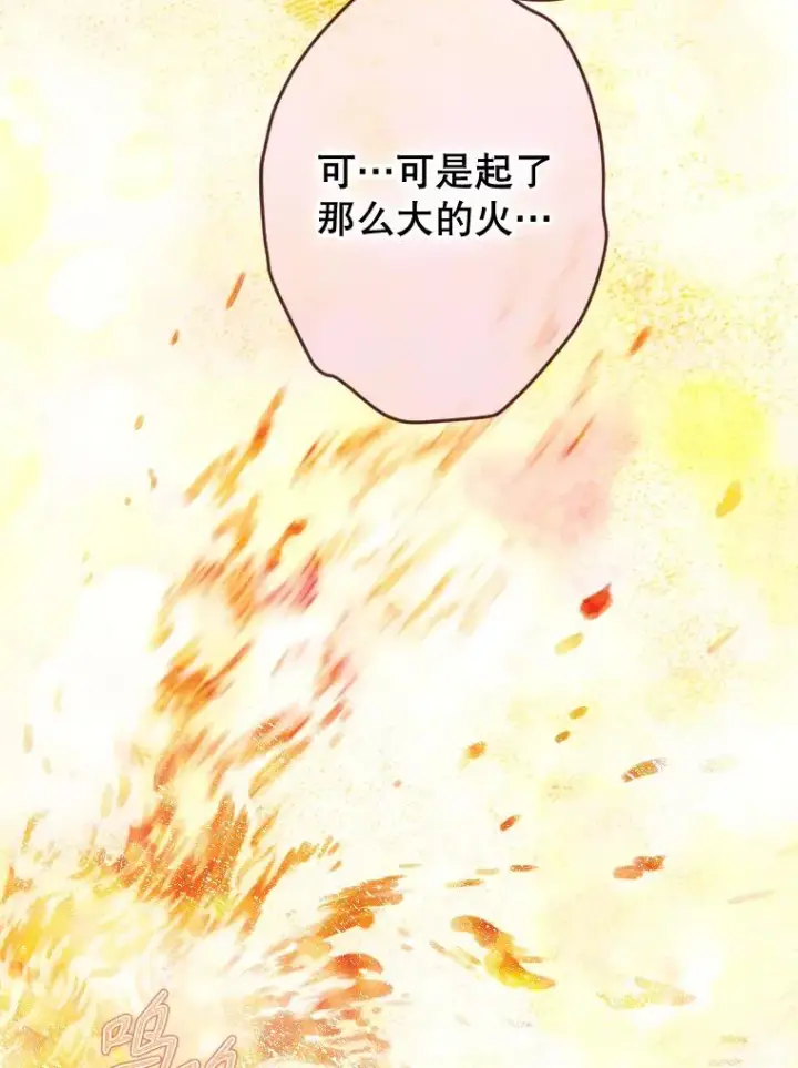 《契约皇后的女儿》48.大火图51