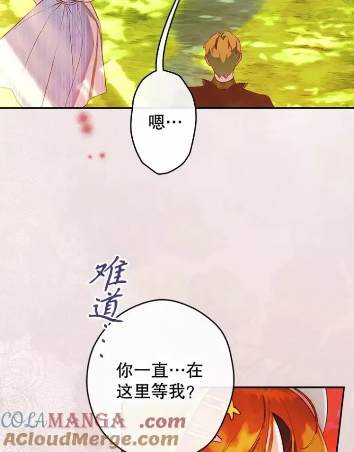 《契约皇后的女儿》55.奇怪的伤痕图5