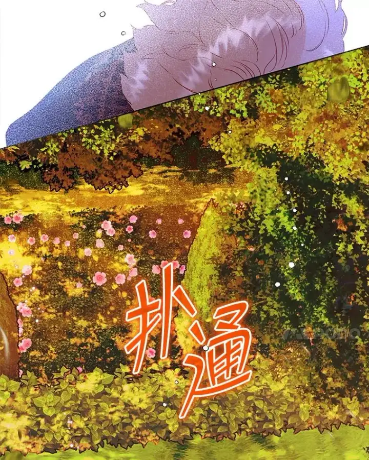 《契约皇后的女儿》55.奇怪的伤痕图64