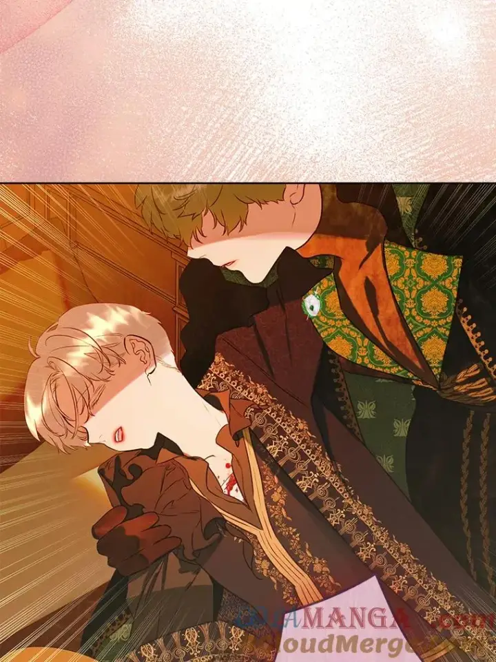 《契约皇后的女儿》55.奇怪的伤痕图85