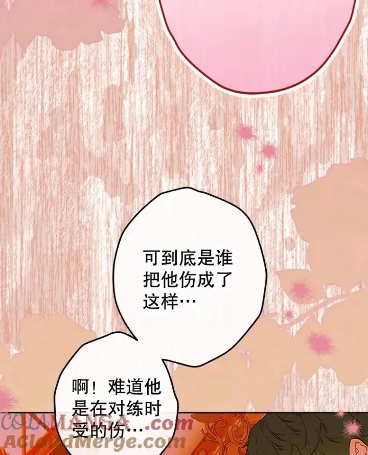 《契约皇后的女儿》55.奇怪的伤痕图93