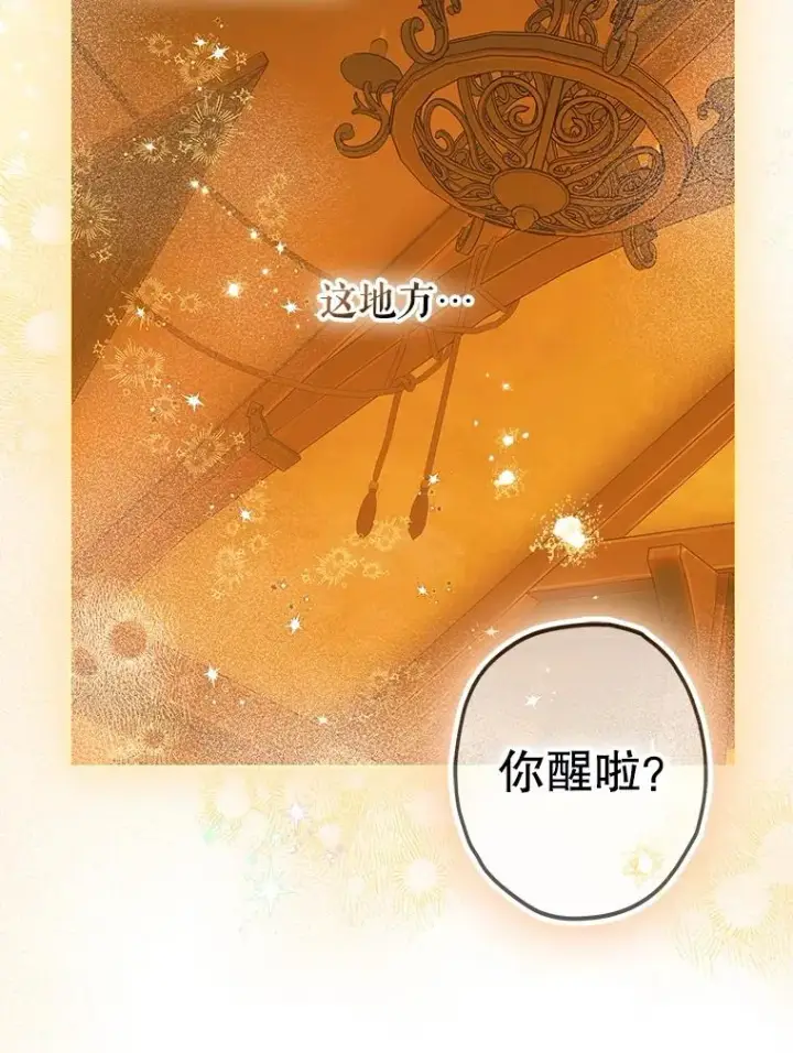 《契约皇后的女儿》56.误伤图11