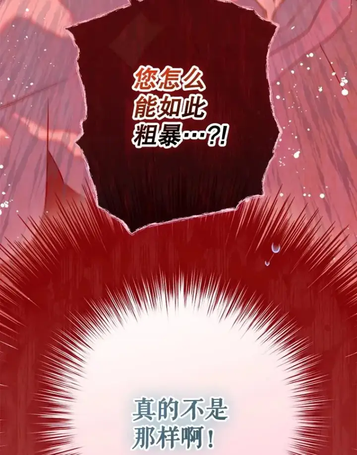 《契约皇后的女儿》56.误伤图111