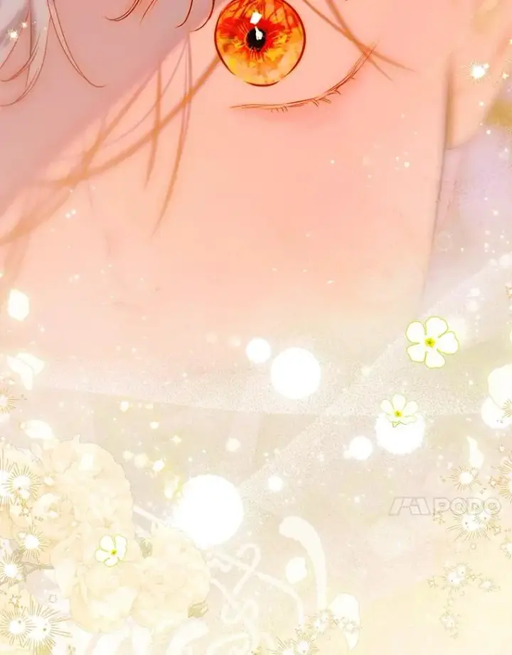 《契约皇后的女儿》56.误伤图26