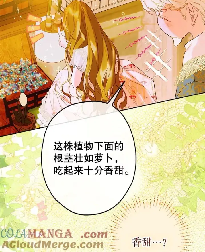 《契约皇后的女儿》60.甜萝卜图17