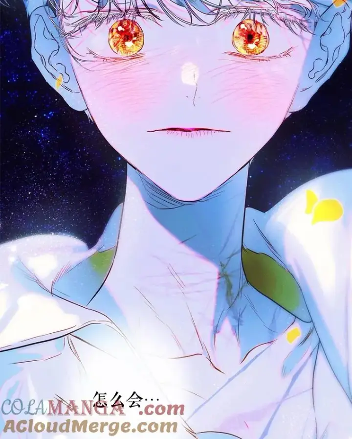 《契约皇后的女儿》66.花香图41