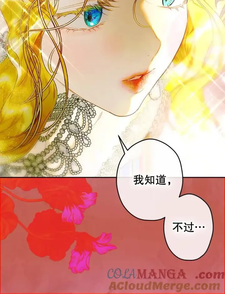 《契约皇后的女儿》68.十岁生日图45