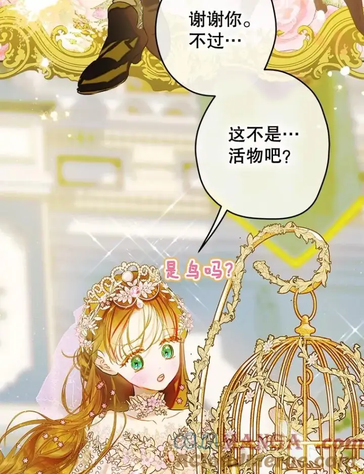 《契约皇后的女儿》69.生日礼物图40