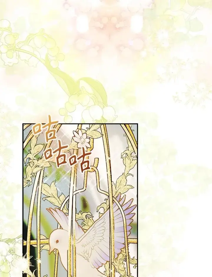 《契约皇后的女儿》69.生日礼物图44