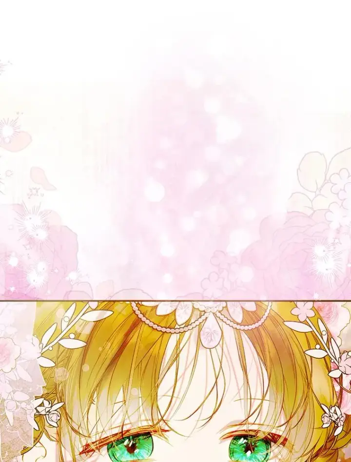 《契约皇后的女儿》69.生日礼物图47