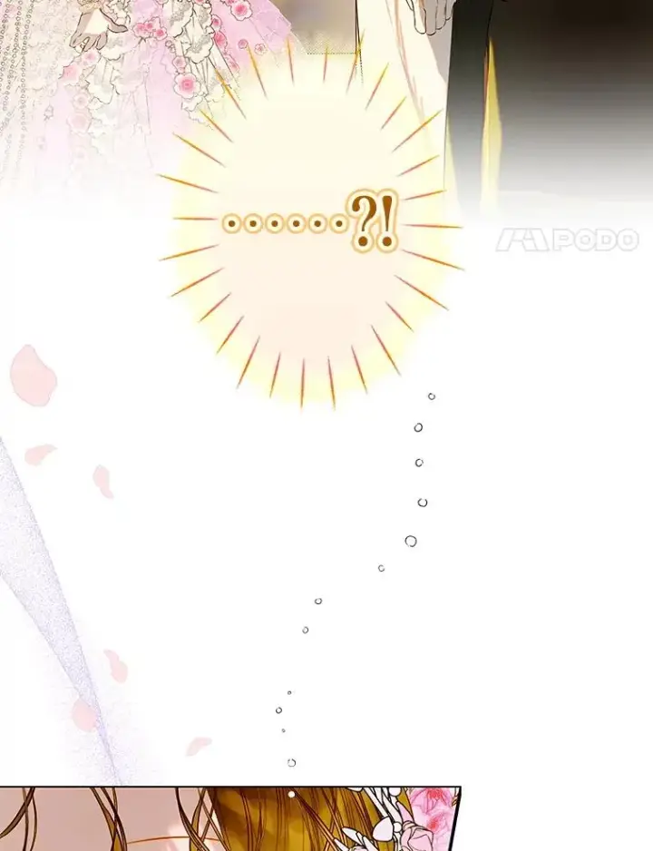 《契约皇后的女儿》69.生日礼物图71