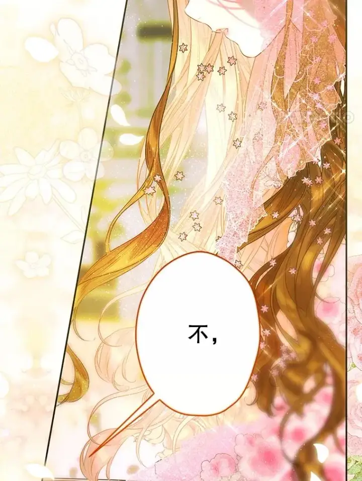 《契约皇后的女儿》70.皇帝的礼物图20