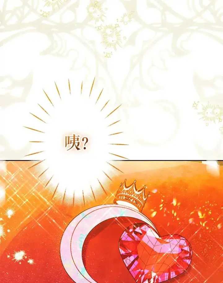 《契约皇后的女儿》70.皇帝的礼物图80