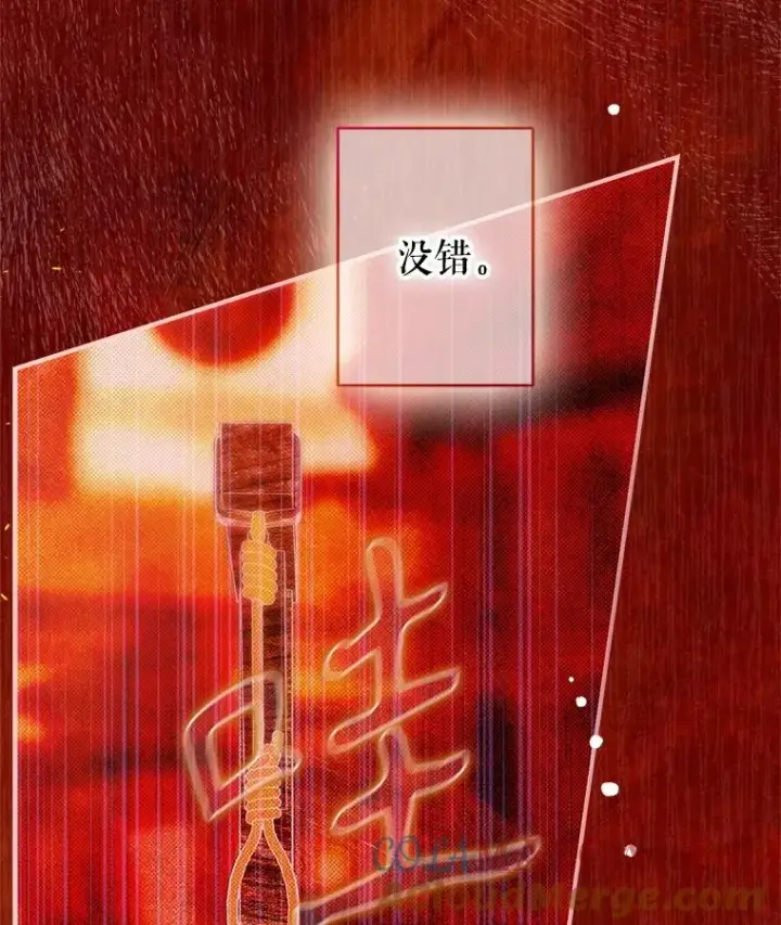 《契约皇后的女儿》72.重生的原因图17