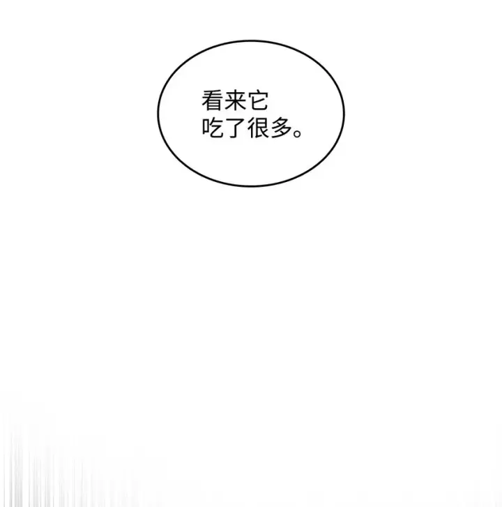 漫画《全裸菜鸟在异世界被摩擦》88 浮游岛第25张图
