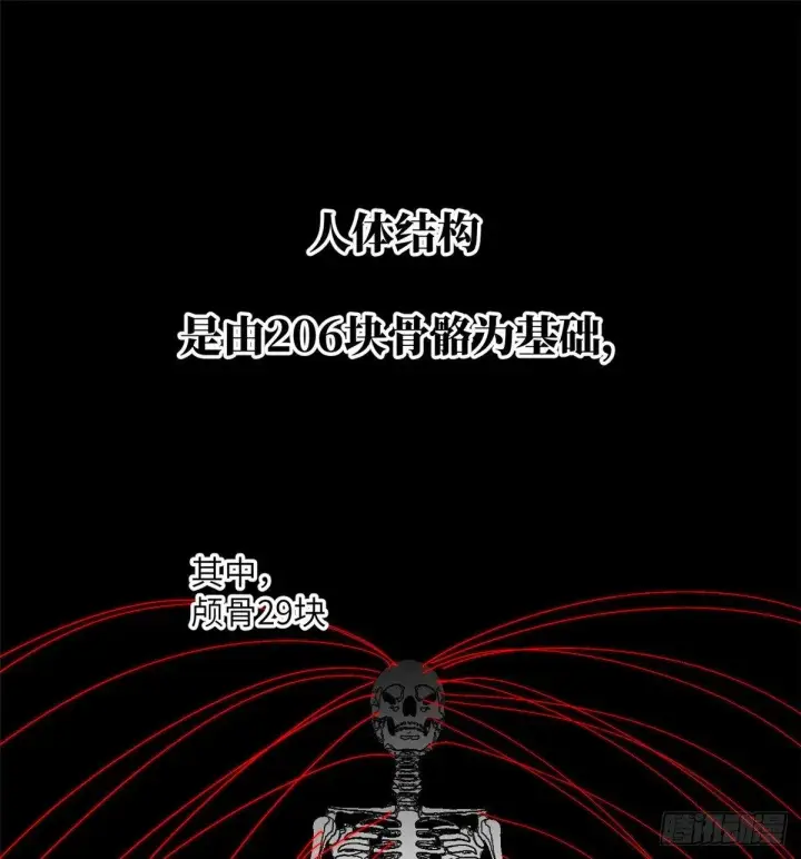 《全球高武》013 第一次修炼图10