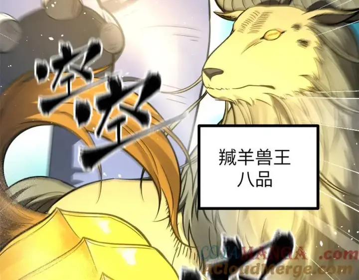 《全球高武》294 刀斩八品图29