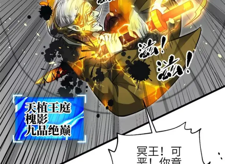 《全球高武》341 武王入域！图116