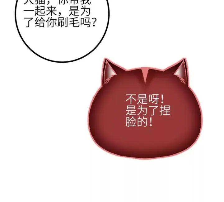 《全球高武》355 人不如猫图103
