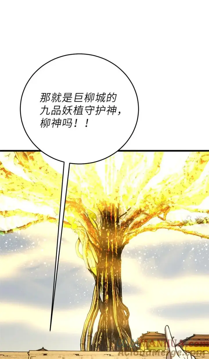 漫画《全球高武》237 巨柳城第25张图