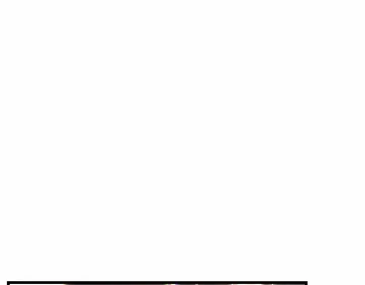《全知读者视角》310 读者的传说（12）图239