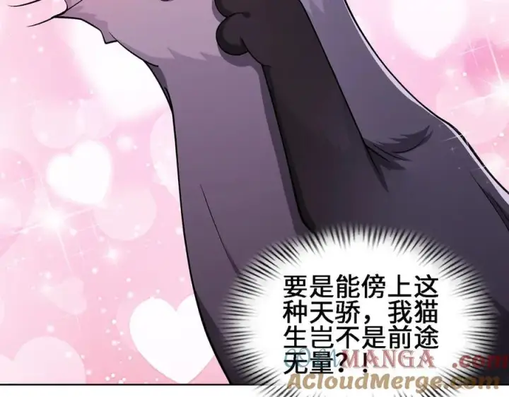 《全知修仙者》27应兆猫图41