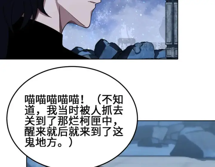 《全知修仙者》27应兆猫图56