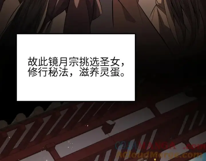 《全知修仙者》48镜月宗图13