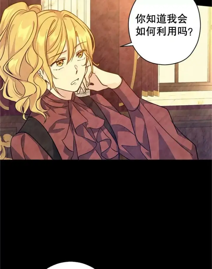 《让我们转变剧情风格》67.吕迪格的计划图14