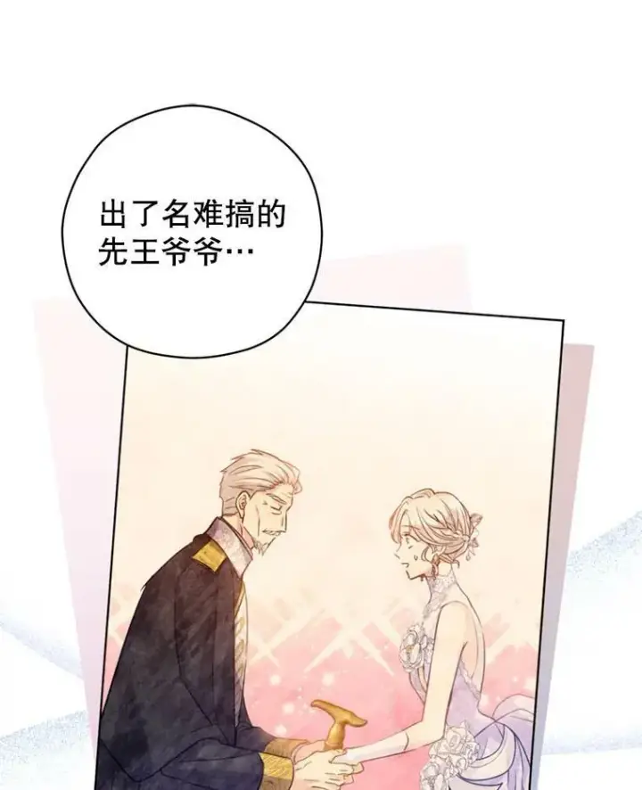 《让我们转变剧情风格》67.吕迪格的计划图64