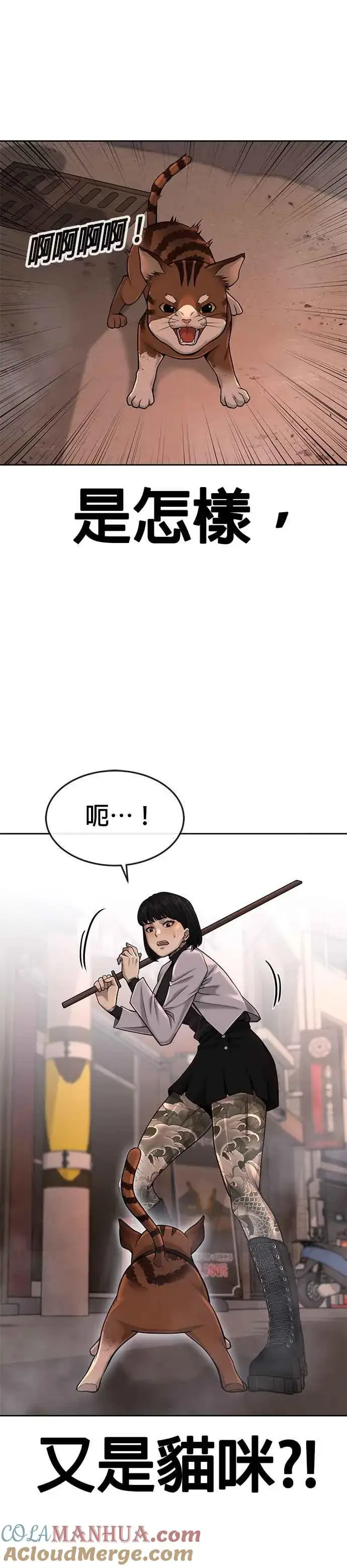 漫画《任务至上主义》第47话 既然如此，一开始就不该激怒我啊第16张图