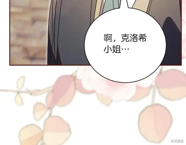 漫画《如何拒绝前夫的执着》第37话第253张图