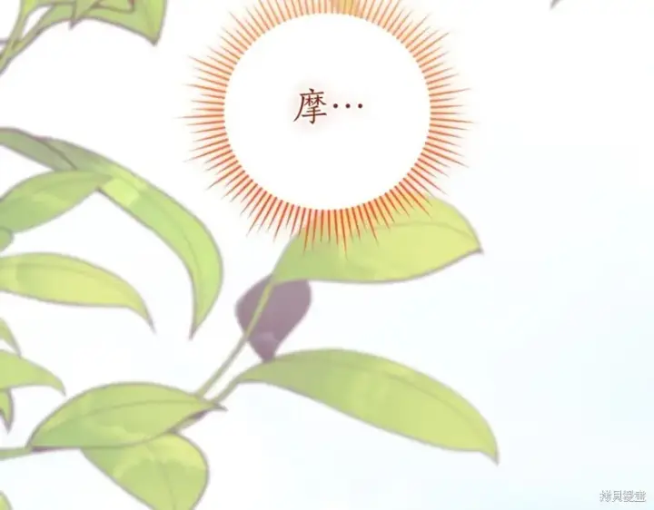 《如何拒绝前夫的执着》第41话图255