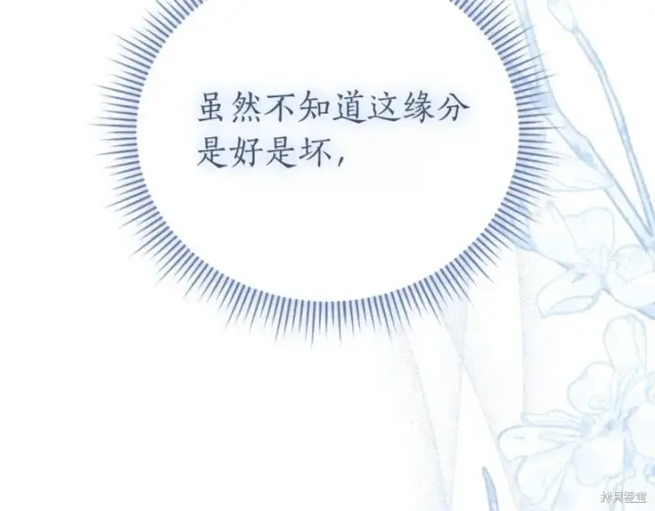 《如何拒绝前夫的执着》第46话图254