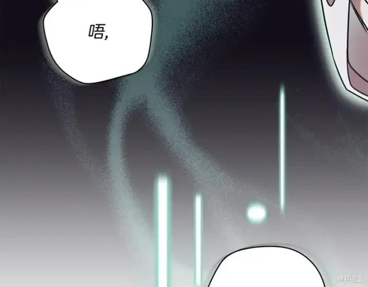 《如何拒绝前夫的执着》第53话图251